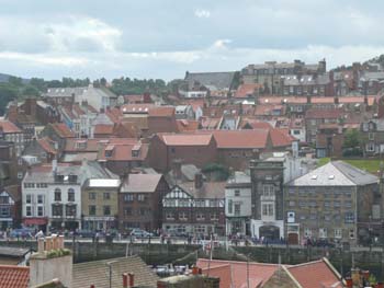 P1010154