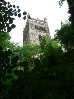 P1010191