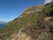 IMG_9379
