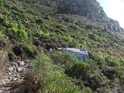 IMG_9383