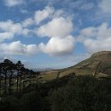IMG_8908