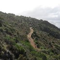 IMG_8915