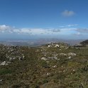 IMG_8938