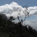 IMG_8940