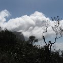 IMG_8941