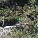 IMG_8943