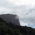 IMG_8945