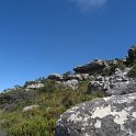 IMG_8947