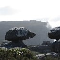 IMG_8950