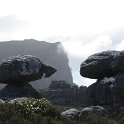 IMG_8951