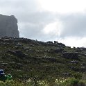 IMG_8957
