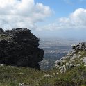 IMG_8958