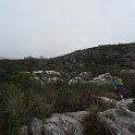 IMG_8995