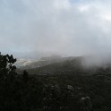 IMG_8998