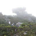 IMG_9001