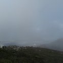 IMG_9004