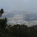 IMG_9005