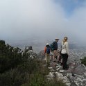 IMG_9008