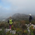 IMG_9009