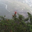 IMG_9044