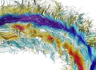 Solar magnetic fields.