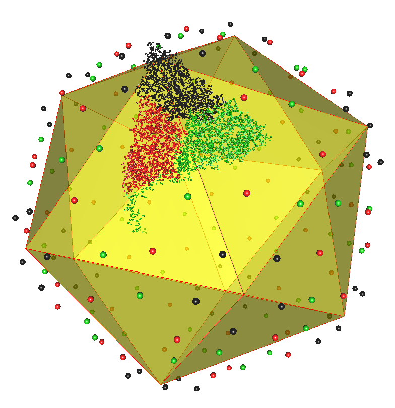 protein capsid of RYM